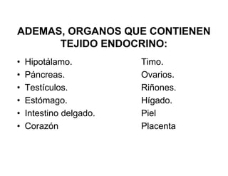 ADEMAS, ORGANOS QUE CONTIENEN
      TEJIDO ENDOCRINO:
•   Hipotálamo.          Timo.
•   Páncreas.            Ovarios.
•   Testículos.          Riñones.
•   Estómago.            Hígado.
•   Intestino delgado.   Piel
•   Corazón              Placenta
 