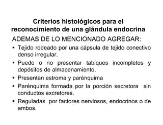 Criterios histológicos para el
reconocimiento de una glándula endocrina
ADEMAS DE LO MENCIONADO AGREGAR:
 Tejido rodeado por una cápsula de tejido conectivo
  denso irregular.
 Puede o no presentar tabiques incompletos y
  depósitos de almacenamiento.
 Presentan estroma y parénquima
 Parénquima formada por la porción secretora sin
  conductos excretores.
 Reguladas por factores nerviosos, endocrinos o de
  ambos.
 