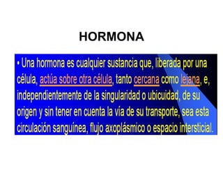 HORMONA
 