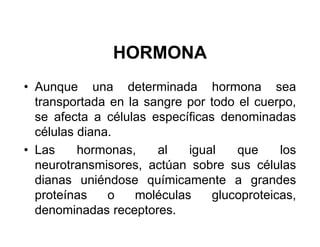 HORMONA
• Aunque una determinada hormona sea
  transportada en la sangre por todo el cuerpo,
  se afecta a células específicas denominadas
  células diana.
• Las     hormonas,    al   igual    que     los
  neurotransmisores, actúan sobre sus células
  dianas uniéndose químicamente a grandes
  proteínas    o   moléculas     glucoproteicas,
  denominadas receptores.
 