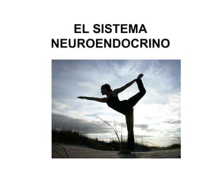 EL SISTEMA
NEUROENDOCRINO
 