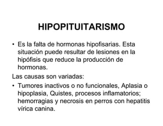 HIPOPITUITARISMO
• Es la falta de hormonas hipofisarias. Esta
  situación puede resultar de lesiones en la
  hipófisis que reduce la producción de
  hormonas.
Las causas son variadas:
• Tumores inactivos o no funcionales, Aplasia o
  hipoplasia, Quistes, procesos inflamatorios;
  hemorragias y necrosis en perros con hepatitis
  vírica canina.
 