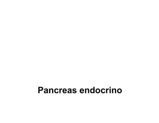 Pancreas endocrino
 