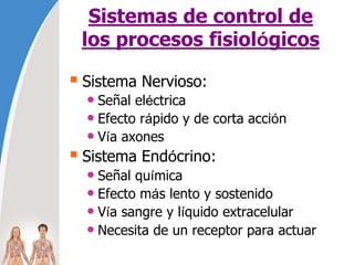 Sistemas de control de
los procesos fisiológicos
 Sistema Nervioso:
• Señal eléctrica
• Efecto rápido y de corta acción
• Vía axones
 Sistema Endócrino:
• Señal química
• Efecto más lento y sostenido
• Vía sangre y líquido extracelular
• Necesita de un receptor para actuar
 