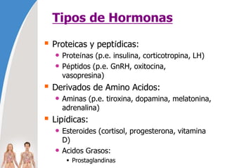Tipos de Hormonas
 Proteicas y peptídicas:
• Proteínas (p.e. insulina, corticotropina, LH)
• Péptidos (p.e. GnRH, oxitocina,
vasopresina)
 Derivados de Amino Acidos:
• Aminas (p.e. tiroxina, dopamina, melatonina,
adrenalina)
 Lipídicas:
• Esteroides (cortisol, progesterona, vitamina
D)
• Acidos Grasos:
 Prostaglandinas
 