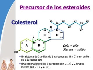 Precursor de los esteroides
Cole = bilis
Stereos = sólido
Colesterol 20
21 22
23
24
25
26
27
1
2
3
4
5
6
7
8
9
10
11
12
13
14 15
16
17
19
18
A B
C D
HO
Un sistema de 3 anillos de 6 carbonos (A, B y C) y un anillo
de 5 carbonos (D)
Una cadena lateral de 8 carbonos (en C-17) y 2 grupos
metilos (en C-10 y C-13)
 