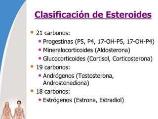 Clasificación de Esteroides
 21 carbonos:
• Progestinas (P5, P4, 17-OH-P5, 17-OH-P4)
• Mineralocorticoides (Aldosterona)
• Glucocorticoides (Cortisol, Corticosterona)
 19 carbonos:
• Andrógenos (Testosterona,
Androstenediona)
 18 carbonos:
• Estrógenos (Estrona, Estradiol)
 