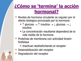 ¿Cómo se ‘termina’ la acción
hormonal?
 Niveles de hormona circulante se regulan por el
efecto biologico provocado por la hormona:
•  glucosa   insulina  ↓ glucosa  ↓
insulina
• La concentración resultante dependerá de la
vida media de la hormona
 Proteínas de membrana con actividad tirosin-
fosfatasa
• Inactivan desfosforilando el receptor
 Desensibilización del receptor
 Degradación del receptor
 