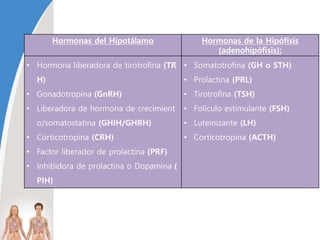 Hormonas del Hipotálamo Hormonas de la Hipófisis
(adenohipófisis):
• Hormona liberadora de tirotrofina (TR
H)
• Gonadotropina (GnRH)
• Liberadora de hormona de crecimient
o/somatostatina (GHIH/GHRH)
• Corticotropina (CRH)
• Factor liberador de prolactina (PRF)
• Inhibidora de prolactina o Dopamina (
PIH)
• Somatotrofina (GH o STH)
• Prolactina (PRL)
• Tirotrofina (TSH)
• Folículo estimulante (FSH)
• Luteinizante (LH)
• Corticotropina (ACTH)
 