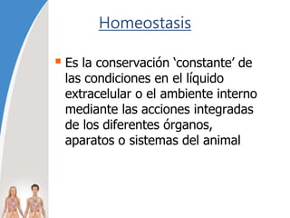 Homeostasis
 Es la conservación ‘constante’ de
las condiciones en el líquido
extracelular o el ambiente interno
mediante las acciones integradas
de los diferentes órganos,
aparatos o sistemas del animal
 
