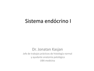 Sistema Endocrino - Parte 1