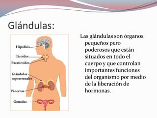 Glándulas:
             Las glándulas son órganos
               pequeños pero
               poderosos que están
               situados en todo el
               cuerpo y que controlan
               importantes funciones
               del organismo por medio
               de la liberación de
               hormonas.
 
