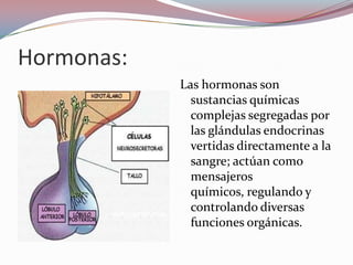 Hormonas:
            Las hormonas son
              sustancias químicas
              complejas segregadas por
              las glándulas endocrinas
              vertidas directamente a la
              sangre; actúan como
              mensajeros
              químicos, regulando y
              controlando diversas
              funciones orgánicas.
 