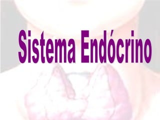 Sistema Endócrino 