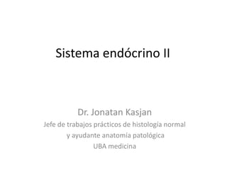 Sistema Endocrino Parte 2 