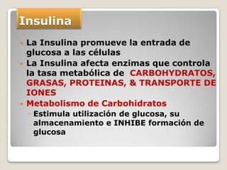 Insulina
   La Insulina promueve la entrada de
    glucosa a las células
   La Insulina afecta enzimas que controla
    la tasa metabólica de CARBOHYDRATOS,
    GRASAS, PROTEINAS, & TRANSPORTE DE
    IONES
   Metabolismo de Carbohidratos
    ◦ Estimula utilización de glucosa, su
      almacenamiento e INHIBE formación de
      glucosa
 