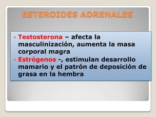 ESTEROIDES ADRENALES

 Testosterona – afecta la
  masculinización, aumenta la masa
  corporal magra
 Estrógenos -, estimulan desarrollo
  mamario y el patrón de deposición de
  grasa en la hembra
 