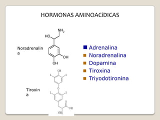 HORMONAS AMINOACíDICAS




Noradrenalin              Adrenalina
a
                          Noradrenalina
                          Dopamina
                          Tiroxina
                          Triyodotironina

    Tiroxin
    a
 