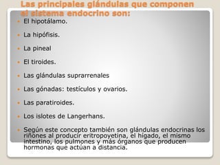 Las principales glándulas que componen
el sistema endocrino son:
 El hipotálamo.
 La hipófisis.
 La pineal
 El tiroides.
 Las glándulas suprarrenales
 Las gónadas: testículos y ovarios.
 Las paratiroides.
 Los islotes de Langerhans.
 Según este concepto también son glándulas endocrinas los
riñones al producir eritropoyetina, el hígado, el mismo
intestino, los pulmones y más órganos que producen
hormonas que actúan a distancia.
 