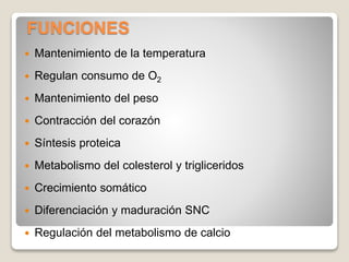 FUNCIONES
 Mantenimiento de la temperatura
 Regulan consumo de O2
 Mantenimiento del peso
 Contracción del corazón
 Síntesis proteica
 Metabolismo del colesterol y trigliceridos
 Crecimiento somático
 Diferenciación y maduración SNC
 Regulación del metabolismo de calcio
 