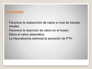 FUNCIONES
 Favorece la reabsorción de calcio a nivel de túbulos
renales
 Favorece la resorción de calcio en el hueso
 Eleva el calcio plasmático
 La hipocalcemia estimula la secreción de PTH
 