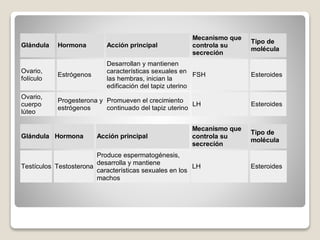 Glándula Hormona Acción principal
Mecanismo que
controla su
secreción
Tipo de
molécula
Ovario,
folículo
Estrógenos
Desarrollan y mantienen
características sexuales en
las hembras, inician la
edificación del tapiz uterino
FSH Esteroides
Ovario,
cuerpo
lúteo
Progesterona y
estrógenos
Promueven el crecimiento
continuado del tapiz uterino
LH Esteroides
Glándula Hormona Acción principal
Mecanismo que
controla su
secreción
Tipo de
molécula
Testículos Testosterona
Produce espermatogénesis,
desarrolla y mantiene
características sexuales en los
machos
LH Esteroides
 