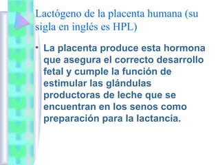 Lactógeno de la placenta humana (su
sigla en inglés es HPL)
• La placenta produce esta hormona
  que asegura el correcto d...