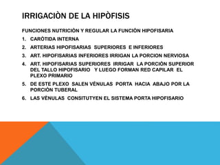 SISTEMA ENDOCRINO ACTUAL.pptx