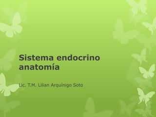 Sistema endocrino
anatomía
Lic. T.M. Lilian Arquínigo Soto
 