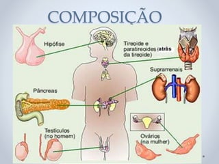 COMPOSIÇÃO
 