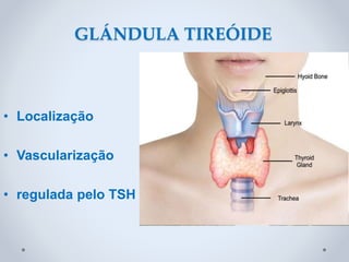 • Localização
• Vascularização
• regulada pelo TSH
GLÁNDULA TIREÓIDE
 