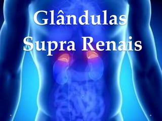 Glândulas
Supra Renais
 
