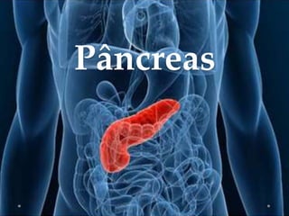 Pâncreas
 