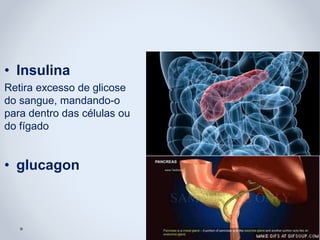 • Insulina
Retira excesso de glicose
do sangue, mandando-o
para dentro das células ou
do fígado
• glucagon
 