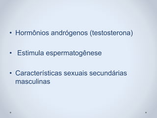 • Hormônios andrógenos (testosterona)
• Estimula espermatogênese
• Características sexuais secundárias
masculinas
 