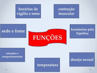 sede e fome
emoções e
comportamentos
temperatura
horários de
vigília e sono
hormônios pela
hipófise
desejo sexual
contração
muscular
FUNÇÕES
 