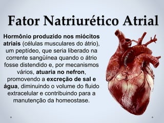 Fator Natriurético Atrial
Hormônio produzido nos miócitos
atriais (células musculares do átrio),
um peptídeo, que seria liberado na
corrente sangüínea quando o átrio
fosse distendido e, por mecanismos
vários, atuaria no nefron,
promovendo a excreção de sal e
água, diminuindo o volume do fluido
extracelular e contribuindo para a
manutenção da homeostase.
 