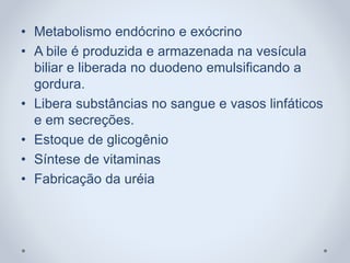 • Metabolismo endócrino e exócrino
• A bile é produzida e armazenada na vesícula
biliar e liberada no duodeno emulsificando a
gordura.
• Libera substâncias no sangue e vasos linfáticos
e em secreções.
• Estoque de glicogênio
• Síntese de vitaminas
• Fabricação da uréia
 