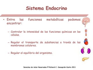 Sistema Endocrino

• Entre las         funciones              metabólicas               podemos
  encontrar:

  – Controlar la intensidad de las funciones químicas en las
    células.

  – Regular el transporte de substancias a través de las
    membranas celulares.

  – Regular el equilibrio del organismo.




               Derechos de Autor Reservados © Richard C. Concepción Castro 2011
 