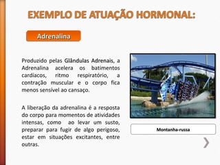 AAAAddddrrrreeeennnnaaaalllliiiinnnnaaaa 
MMoonnttaannhhaa--rruussssaa 
Produzido pelas GGllâânndduullaass AAddrreennaaiiss, a 
Adrenalina acelera os batimentos 
cardíacos, ritmo respiratório, a 
contração muscular e o corpo fica 
menos sensível ao cansaço. 
A liberação da adrenalina é a resposta 
do corpo para momentos de atividades 
intensas, como ao levar um susto, 
preparar para fugir de algo perigoso, 
estar em situações excitantes, entre 
outras. 
 