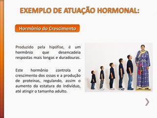 HHHHoooorrrrmmmmôôôônnnniiiioooo ddddoooo CCCCrrrreeeesssscccciiiimmmmeeeennnnttttoooo 
Produzido pela hipófise, é um 
hormônio que desencadeia 
respostas mais longas e duradouras. 
Este hormônio controla o 
crescimento dos ossos e a produção 
de proteínas, regulando, assim o 
aumento da estatura do indivíduo, 
até atingir o tamanho adulto. 
 