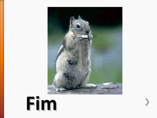 FFiimm 
