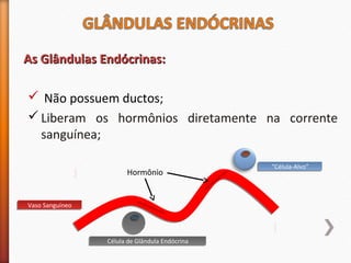 AAss GGllâânndduullaass EEnnddóóccrriinnaass:: 
 Não possuem ductos; 
Liberam os hormônios diretamente na corrente 
sanguínea; 
VVaassoo SSaanngguuíínneeoo 
““CCéélluullaa--AAllvvoo”” 
Hormônio 
............. 
CCéélluullaa ddee GGllâânndduullaa EEnnddóóccrriinnaa 
............. 
 