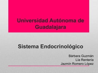 Universidad Autónoma de
Guadalajara
Sistema Endocrinológico
Bárbara Guzmán
Lía Rentería
Jazmín Romero López
 