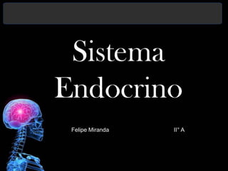 Sistema
Sistema Endocrino
Endocrino
  Felipe Miranda   II° A
 