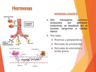  Son mensajeros químicos
producidos por glándulas
endocrinas, se desplazan por el
torrente sanguíneo a células
blanco
 Tres tipos:
 Proteicas y polipeptídicas
 Derivadas de aminoácidos
 Derivadas de esteroides y
ácidos grasos.
GENERALIDADES
 