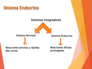 Sistemas Integradores
Sistema Nervioso Sistema Endocrino
Reacciones precisas y rápidas
Mas cortas
Reacciones difusas
prolongadas
 
