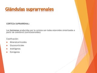 CORTEZA SUPRARRENAL:
Las hormonas producidas por la corteza son todas esteroides sintetizadas a
partir de colesterol (corticosteroides)
Clasificación:
 Mineralcorticoides
 Glucocorticides
 Andrógenos
 Estrógenos
 