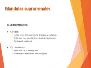 GLUCOCORTICOIDES:
 Cortisol:
 Actúa sobre el metabolismo de grasas y proteínas
 Esteroide mas abundante en la sangre periférica
 Deriva del colesterol
 Corticosterona
 Precursor de la aldosterona
 Participa en reacciones inmunológicas
 