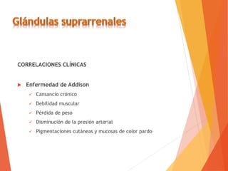 CORRELACIONES CLÍNICAS
 Enfermedad de Addison
 Cansancio crónico
 Debilidad muscular
 Pérdida de peso
 Disminución de la presión arterial
 Pigmentaciones cutáneas y mucosas de color pardo
 
